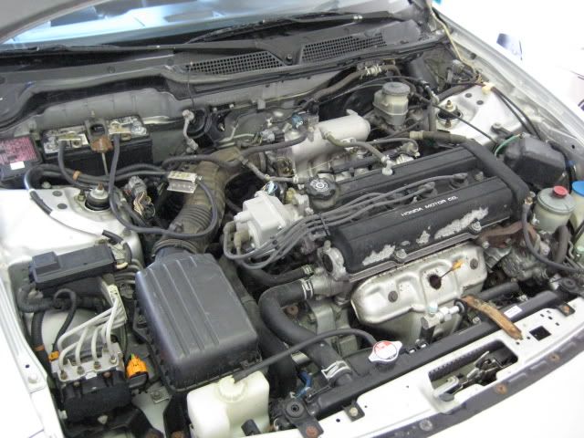 2000 Acura Integra Coupe Install Log - Page 2 - Car Audio